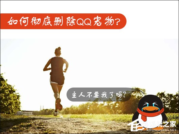 win7如何卸载QQ宠物?关闭QQ宠物自动登录的方法