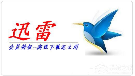 迅雷离线下载怎么使用?迅雷离线下载的使用方法