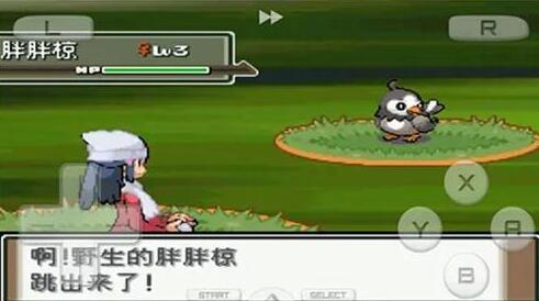 口袋妖怪心金金手指代码大全_口袋妖怪心金金手指