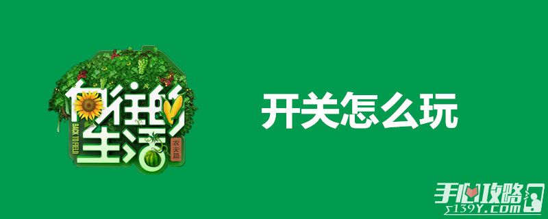 开关怎么玩1