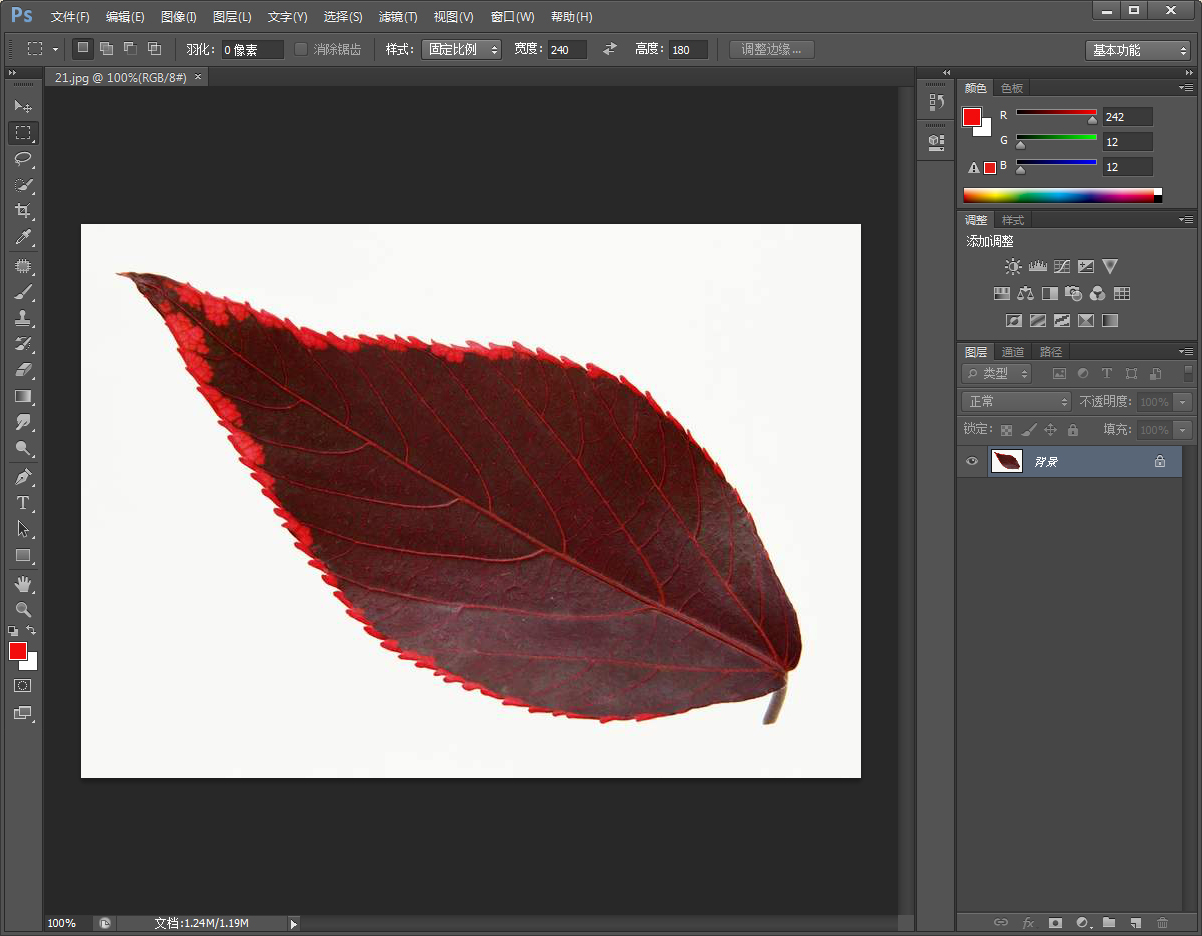 PS如何给图片描边?PS快速描边方法简述
