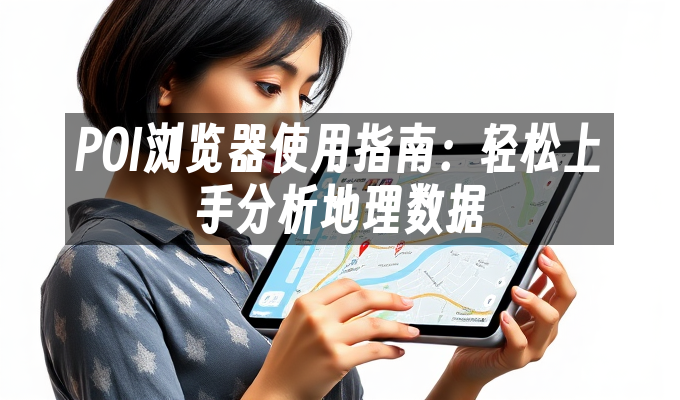 POI浏览器使用指南:轻松上手分析地理数据