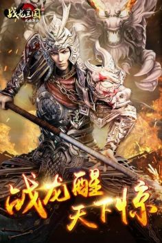 战龙三国下载_战龙三国手机版v2.04.02.1820安卓版下载