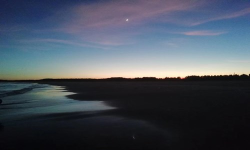 电脑鼠标和键盘同时失灵怎么办?