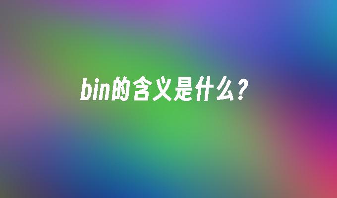 bin的含义是什么?