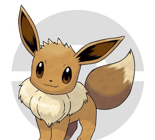 口袋妖怪XY_伊布家族的100种进化