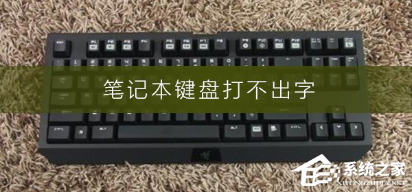 笔记本电脑打不出字怎么办?笔记本键盘打不出字的解决方法