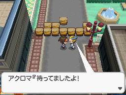 口袋妖怪黑白2图文攻略全集(中)_口袋妖怪黑白2攻略