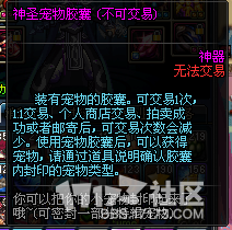 DNF神圣宠物胶囊售价_dnf宠物胶囊