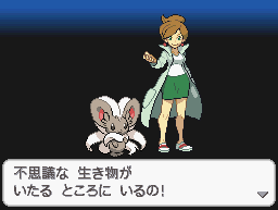 口袋妖怪黑白2图文攻略全集(上半部)_口袋妖怪黑2攻略图文