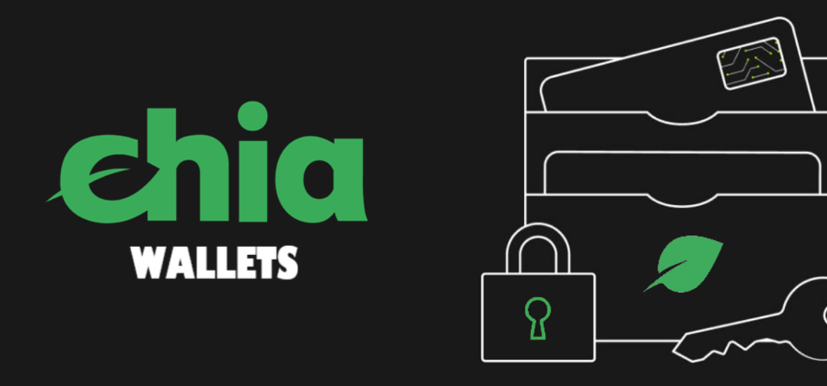 这个币怎么样?奇亚币是什么币种?有前景吗?