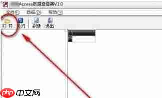 Win10系统mdb文件怎么打开?