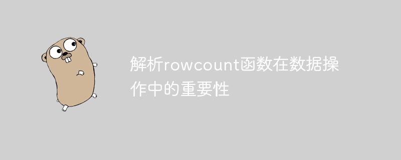 解析rowcount函数在数据操作中的重要性