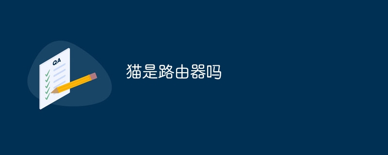 猫是路由器吗