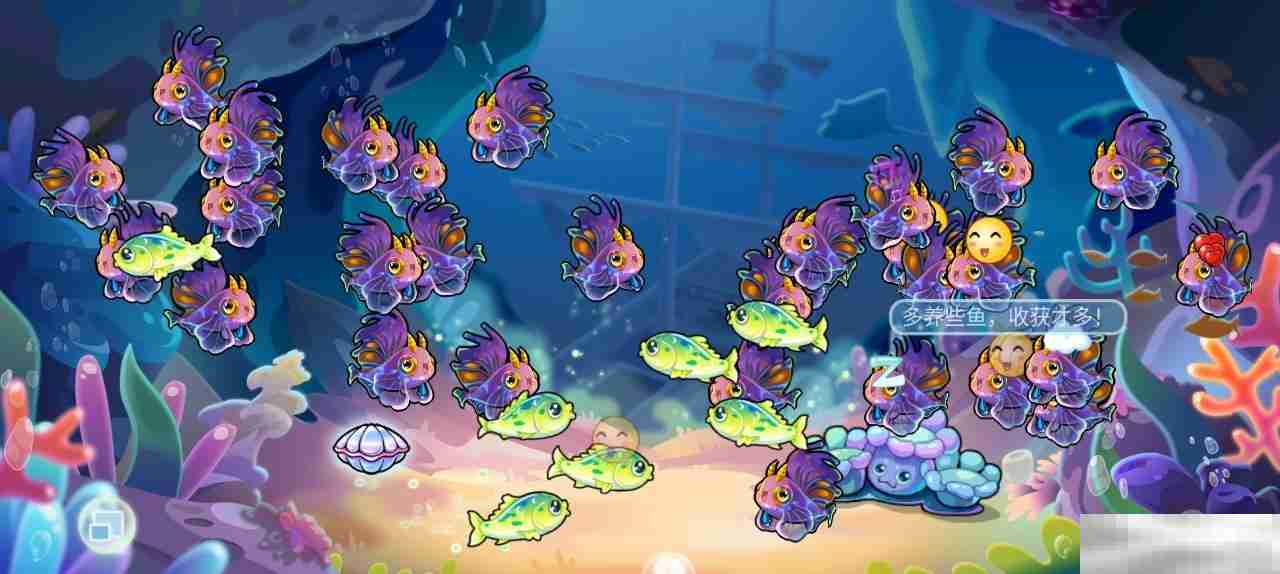 《开心水族箱》前期合成推荐