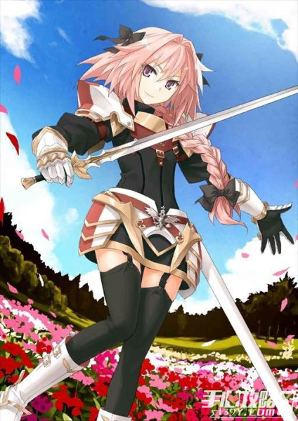 FGO手游全英灵各阶段立绘图鉴大全-FGO全英灵获得方式汇总-手心游戏_fgo英灵图鉴