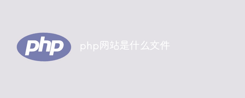 php网站是什么文件