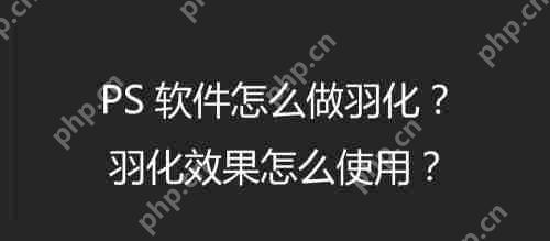 photoshop7.0怎么做羽化?photoshop7.0羽化效果使用方法