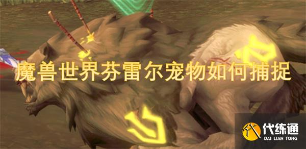 魔兽世界芬雷尔宠物如何捕捉?如何成功获取芬雷尔详细攻略一览_芬雷尔