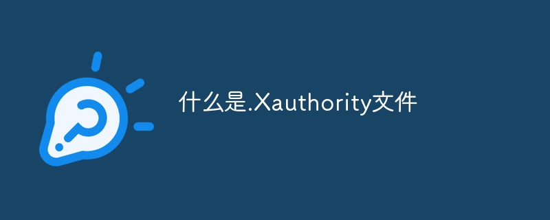 什么是.Xauthority文件