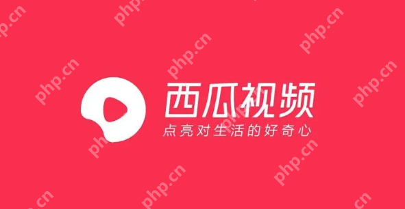 国产视频在线观看app排行榜 在线观看免费视频国产app前十名推荐 - php中文网