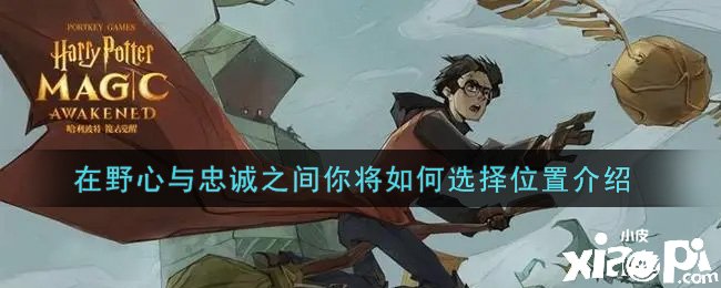 《哈利波特：魔法觉醒》在野心与忠诚之间你将如何选择位置介绍