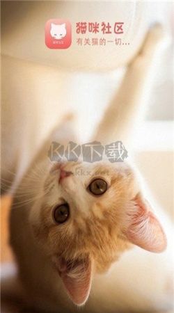 猫咪社区app官网入口进入下载_猫咪社区app官方版2024最新v5.9.9手机app下载