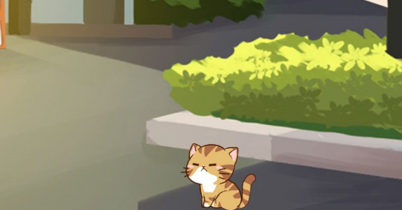 猫宅97全猫咪解锁攻略大全_猫宅97攻略