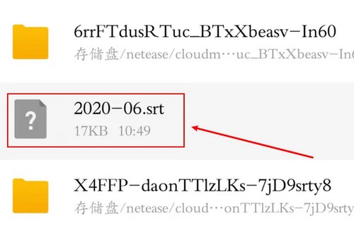 10-找到你需要打开的srt格式文件、