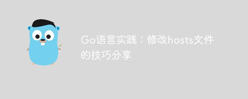 go语言实践：修改hosts文件的技巧分享