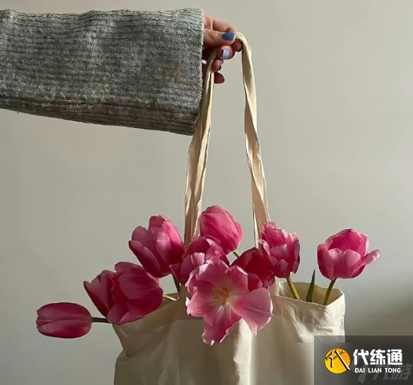 《英雄联盟》罗马音单字id复制大全
