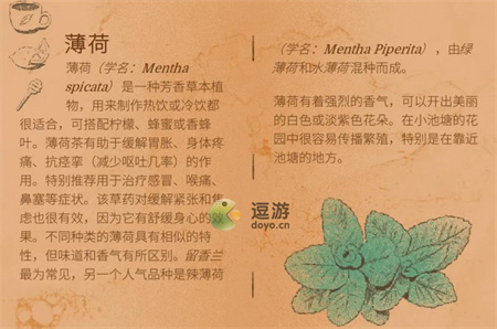 茶杯物语材料收集攻略大全_茶园物语