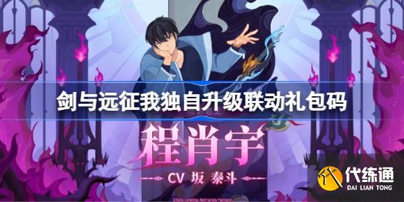 剑与远征我独自升级联动礼包码2025_剑与远征最新兑换码