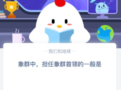 蚂蚁庄园2020年4月3日小课堂答案?象群中担任象群首领的一般是什么?_担任象群首领