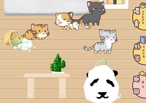 猫宅97好感度攻略大全 好感度快速提升方法汇总