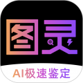 图灵鉴定下载_图灵鉴定(AI鉴定)v2.05.17手机版下载