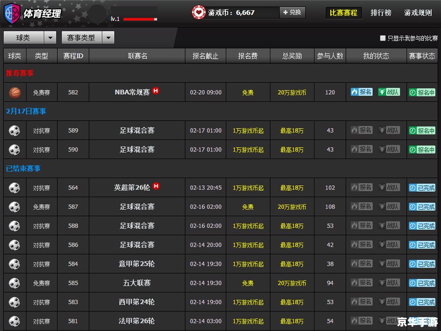 fm2010 球探工具 【FM2010球探工具】：揭秘游戏中的虚拟足球世界