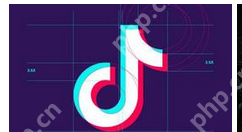 抖音APP怎么查看账户权重?查看账户权重的方法说明