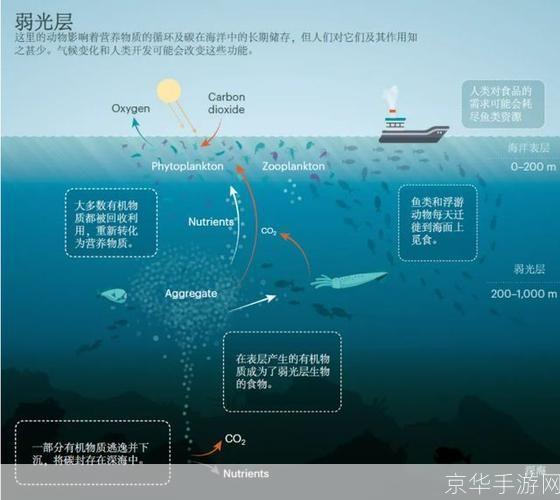 揭秘失落的禁区：挑战未知，探索无界