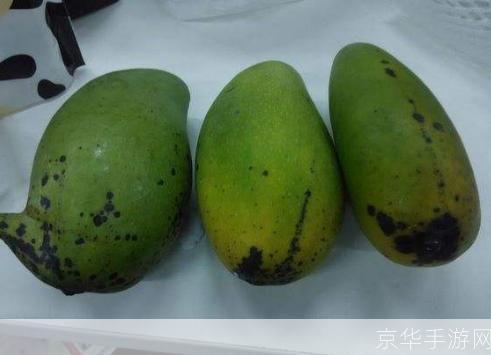 绿芒果xp系统怎么安装: 详细步骤指南：如何安装绿芒果XP系统