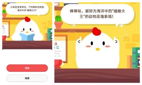 哪种动物是海洋中的瞌睡大王_哪种动物是海洋中的瞌睡大王