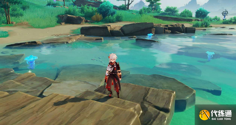 原神海灵芝采集路线_海灵芝采集点