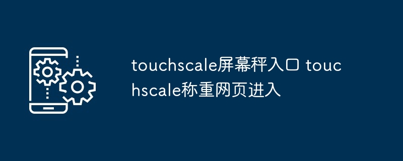 touchscale屏幕秤入口 touchscale称重网页进入