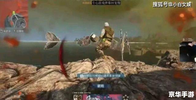 求生之路2火鸟论坛：探讨生存与合作之道