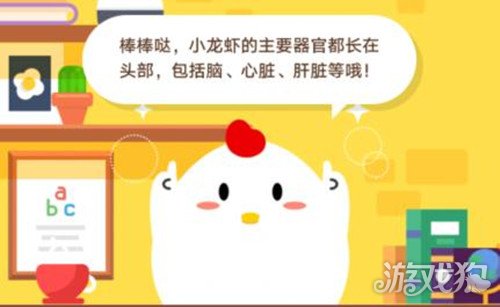 小龙虾的心脏在哪里 蚂蚁庄园小龙虾心脏位置
