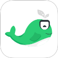小绿鲸下载_小绿鲸翻译v1.0.0手机app下载