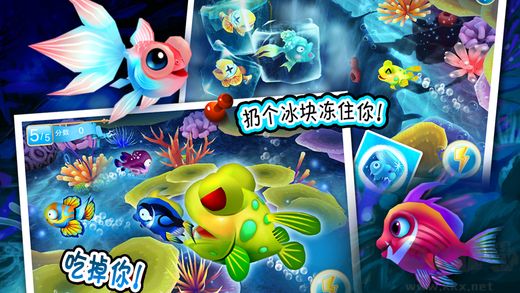 大鱼吃小鱼下载_大鱼吃小鱼OL安卓版v1.8.5免费版下载