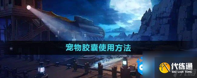 《DNF》宠物胶囊使用方法_dnf宠物胶囊