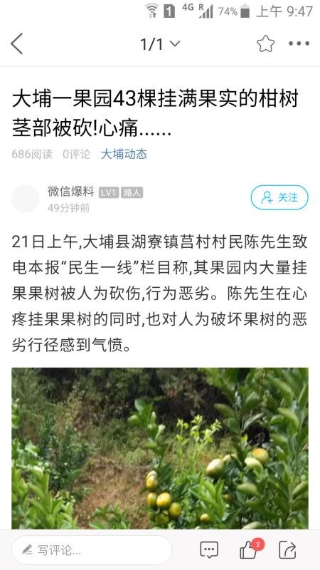 大埔网下载_大埔网v3.16手机app下载