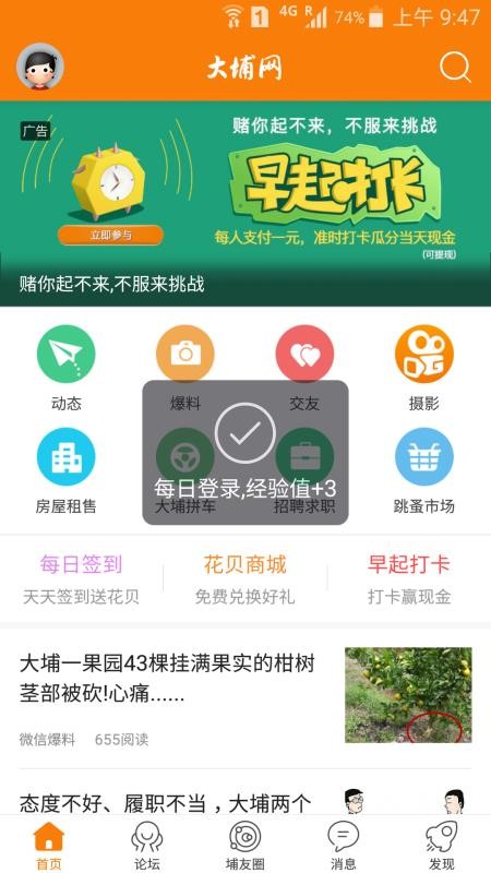 大埔网下载_大埔网v3.16手机app下载
